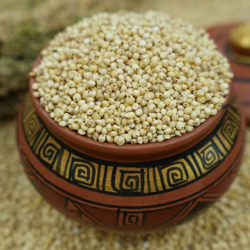 Quinoa pop