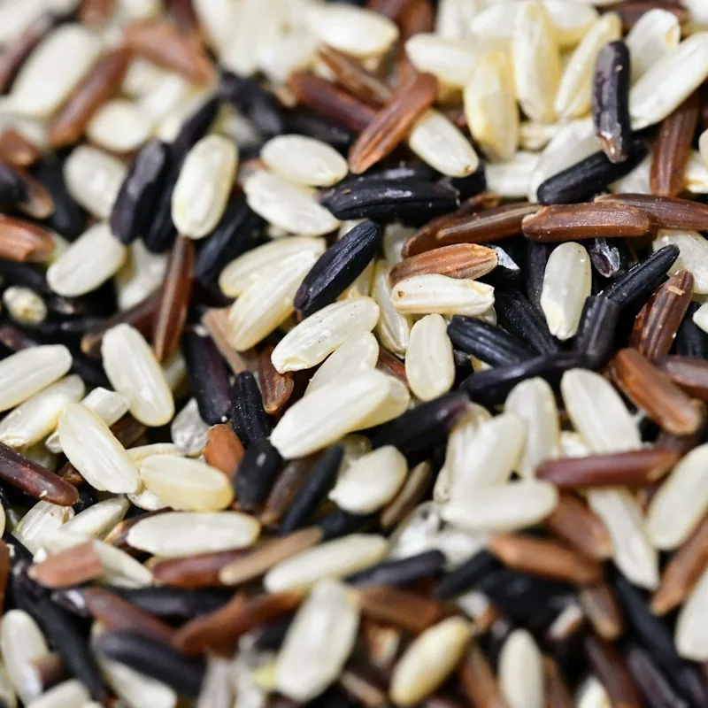 Arroz yamaní integral